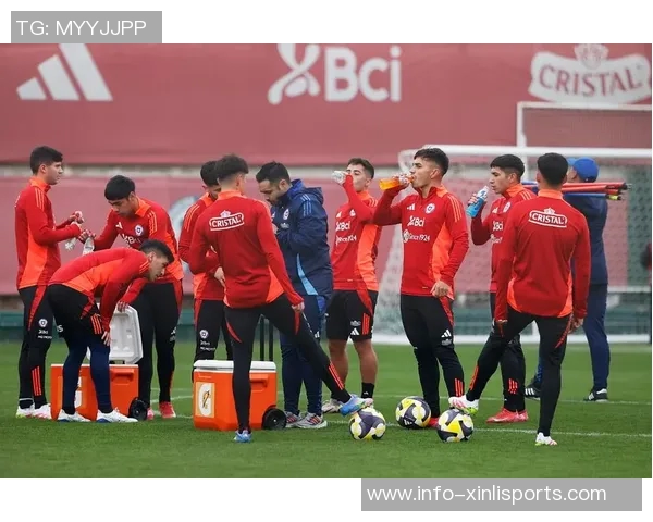 智利足球的辉煌历史与未来展望:从传奇球员到国家队的崛起之路 智利足球的辉煌历史与未来展望:从传奇球员到国家队的崛起之路